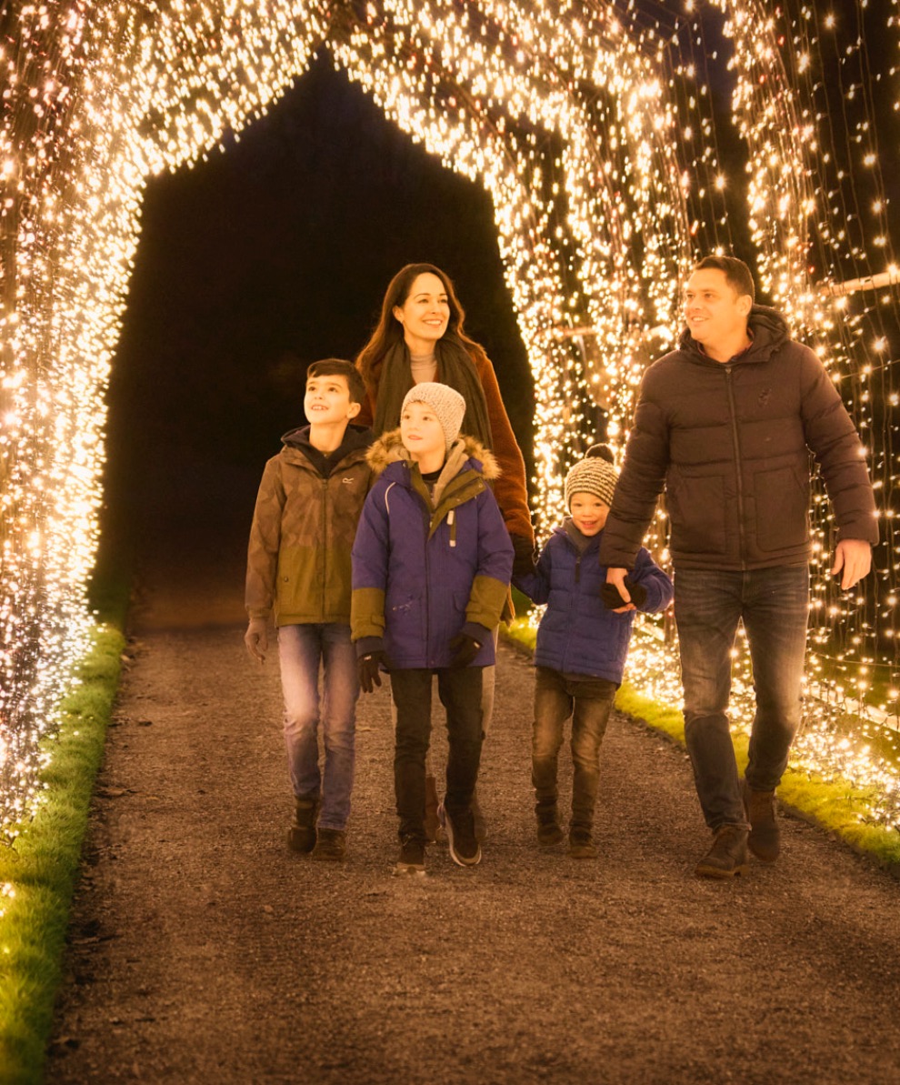 Christmas at Killerton launches with more than a million twinkling lights The Exeter Daily